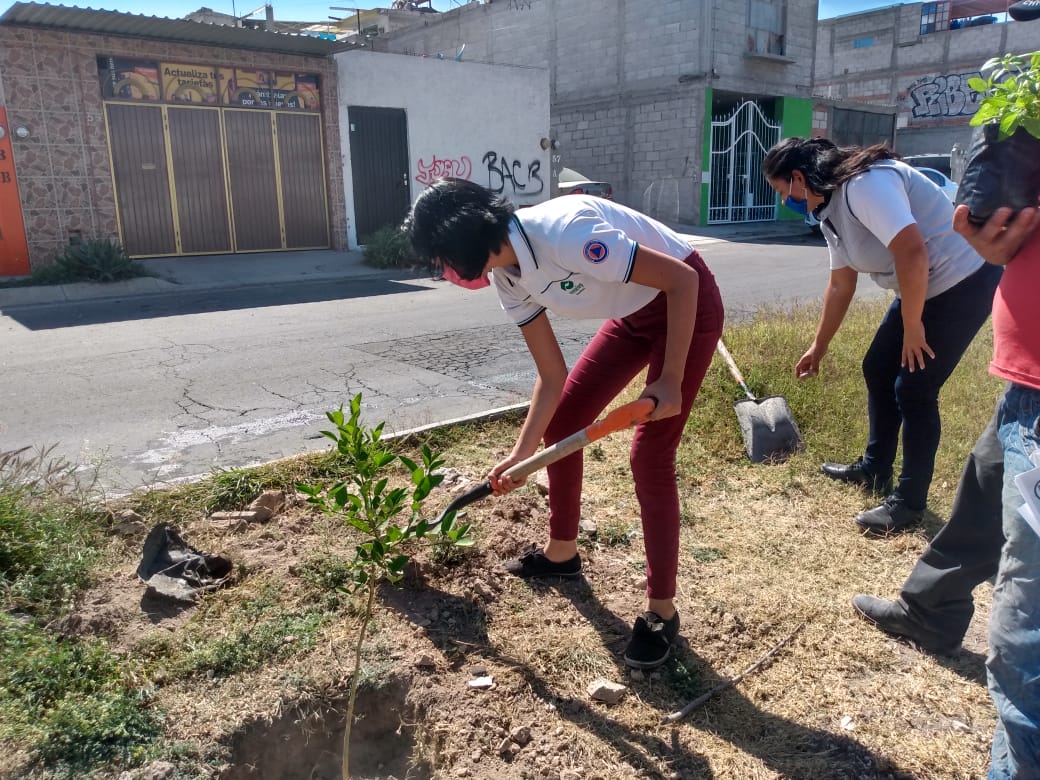 CONALEP Querétaro desarrolla actividades para favorecer una educación ambiental entre sus estudiantes