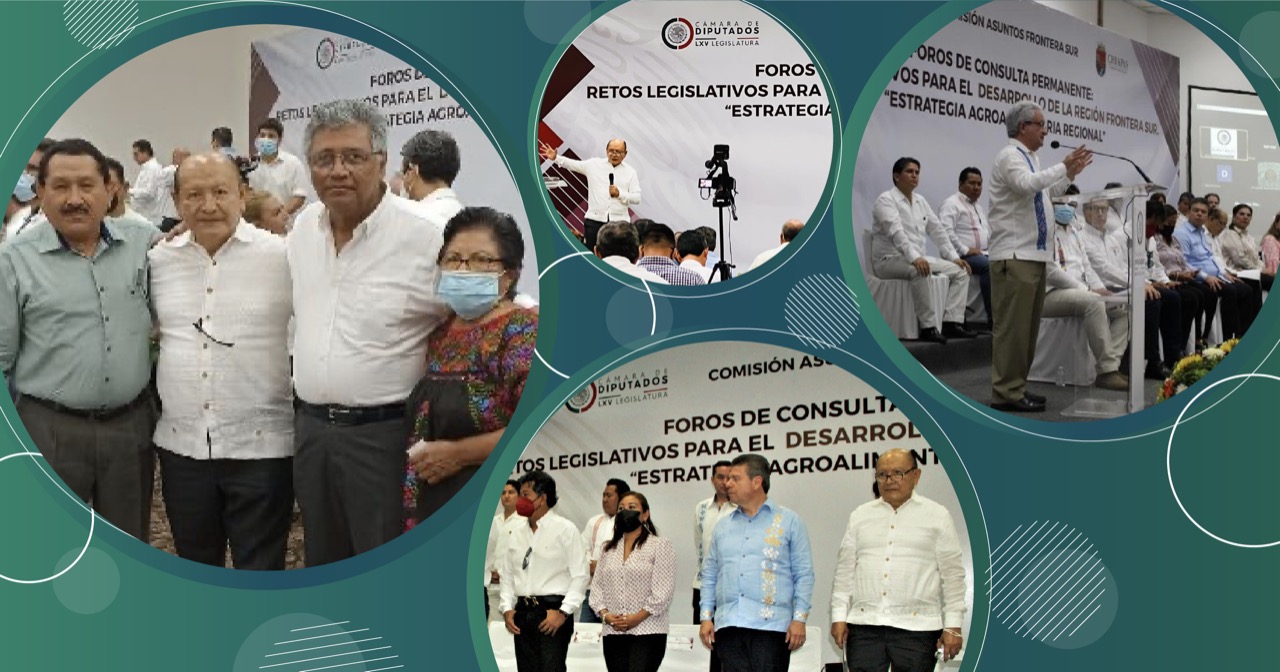 CONALEP participó en el Foro de Consulta Permanente: retos legislativos para el desarrollo de la Región Frontera Sur
