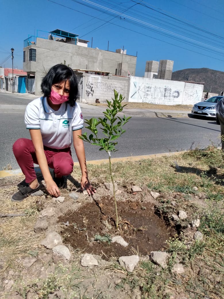 CONALEP Querétaro desarrolla actividades para favorecer una educación ambiental entre sus estudiantes