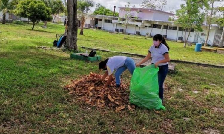 CONALEP Quintana Roo fomenta la educación ambiental
