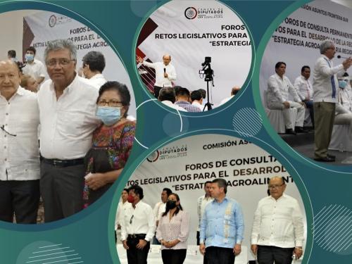 CONALEP participó en el Foro de Consulta Permanente: retos legislativos para el desarrollo de la Región Frontera Sur